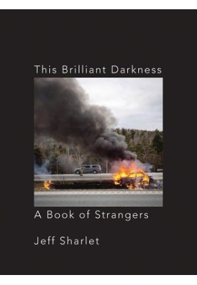 This Brilliant Darkness: A Book of Strangers