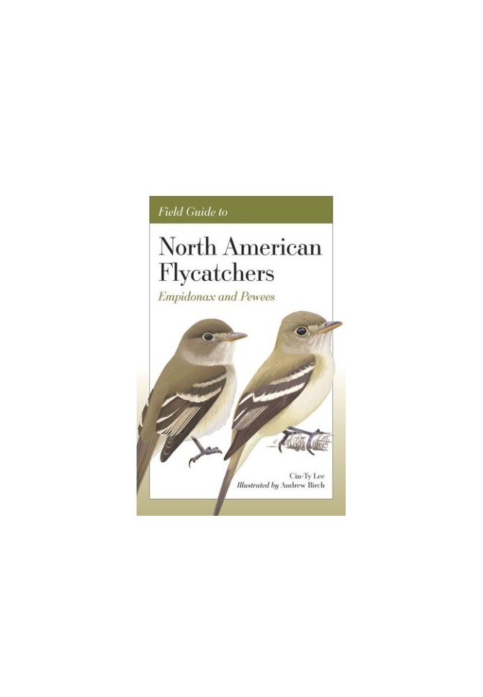 Field Guide to North American Flycatchers: Empidonax and Pewees