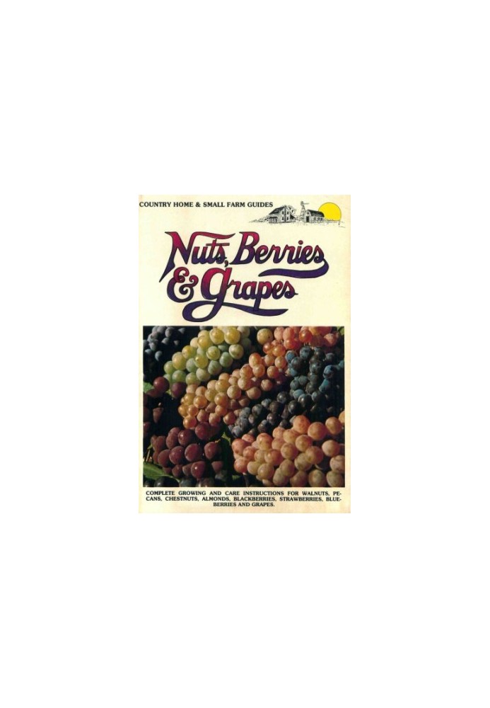 Nuts, berries & grapes