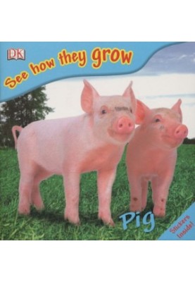 Pig