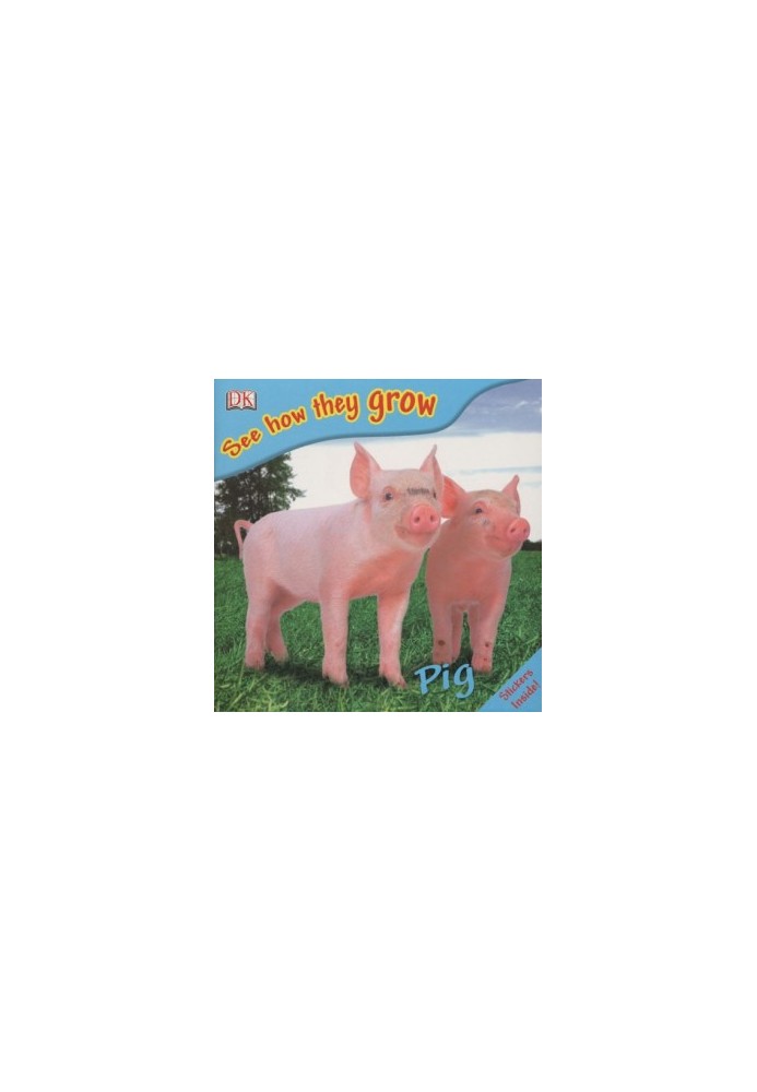 Pig