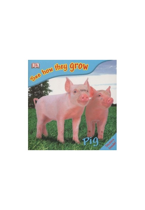 Pig