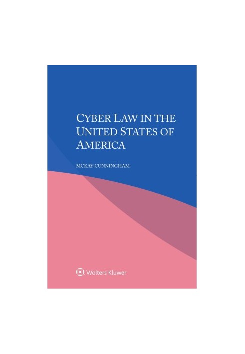 Cyber Law in the United States of America
