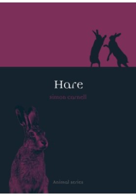 Hare