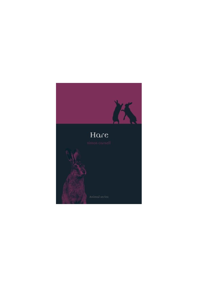 Hare