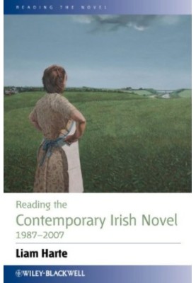 Reading the Contemporary Irish Novel 1987-2007