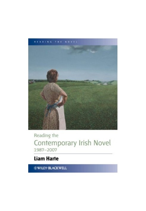 Reading the Contemporary Irish Novel 1987-2007