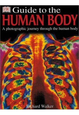 Guide to the Human Body (DK Guides)