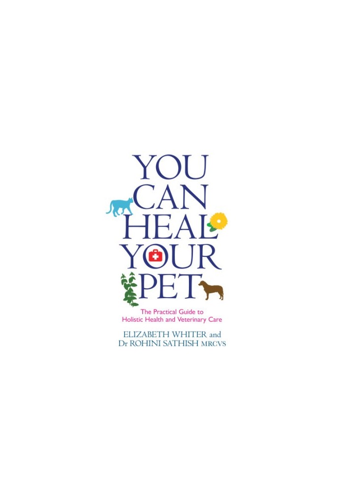 You can heal your pet: the practical guide to holistic health and veterinary care