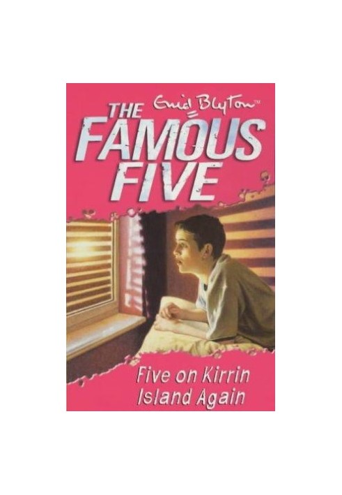 Five on Kirrin Island Again