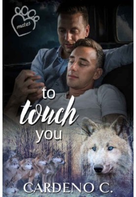 To Touch You