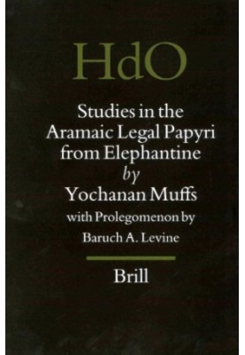Studies in the Aramaic Legal Papyri from Elephantine (Handbook of Oriental Studies/Handbuch Der Orientalistik)