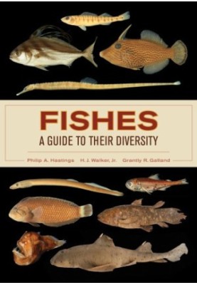 Fishes: a guide to their diversity