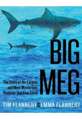 Big Meg: The Story of the Largest and Most Mysterious Predator That Ever Lived