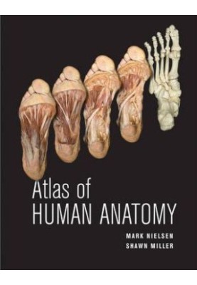Atlas of human anatomy