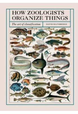 How Zoologists Organize Things - The Art Of Classification