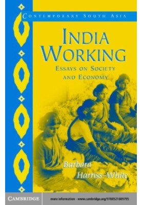 India working essays on society and economy
