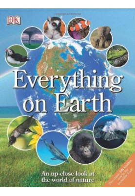 Everything on Earth