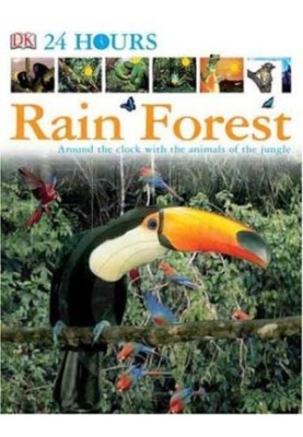 Rain Forest
