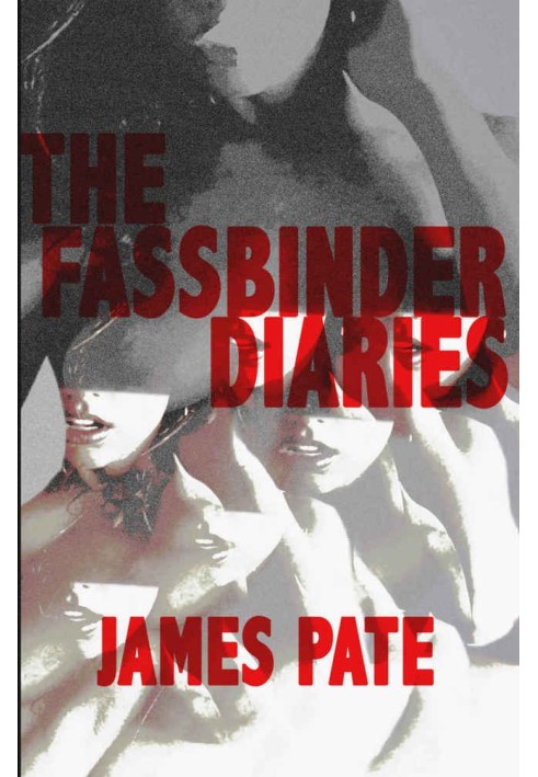 The Fassbinder Diaries