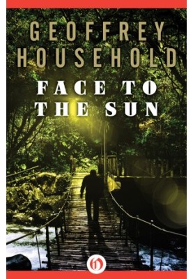 Face to the Sun