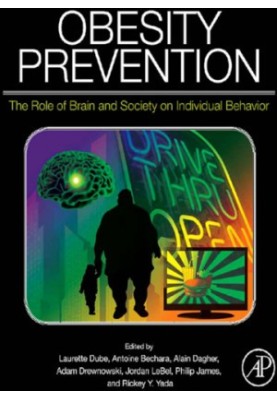 Obesity prevention: the role of brain and society on individual behavior