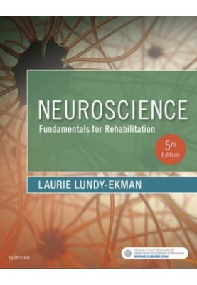 Neuroscience: Fundamentals for Rehabilitation