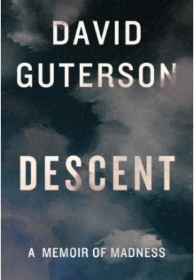Descent: A Memoir of Madness (Kindle Single)