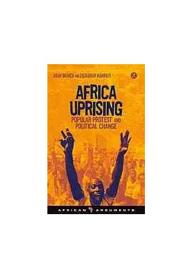 Africa uprising : popular protest and political change