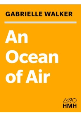 An ocean of air: why the wind blows and other mysteries of the atmosphere