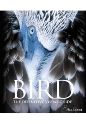 Bird: The Definitive Visual Guide