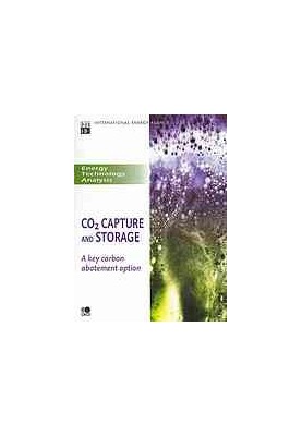 Co2 Capture and Storage : a Key Carbon Abatement Option.
