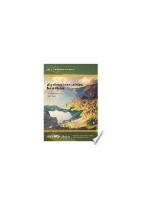Algebraic Inequalities: New Vistas