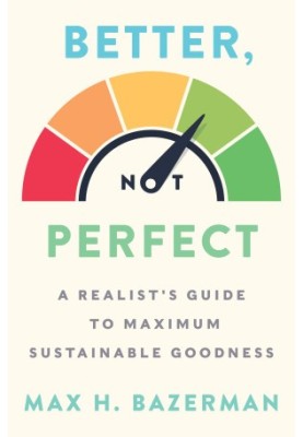 Better, Not Perfect: A Realist's Guide to Maximum Sustainable Goodness