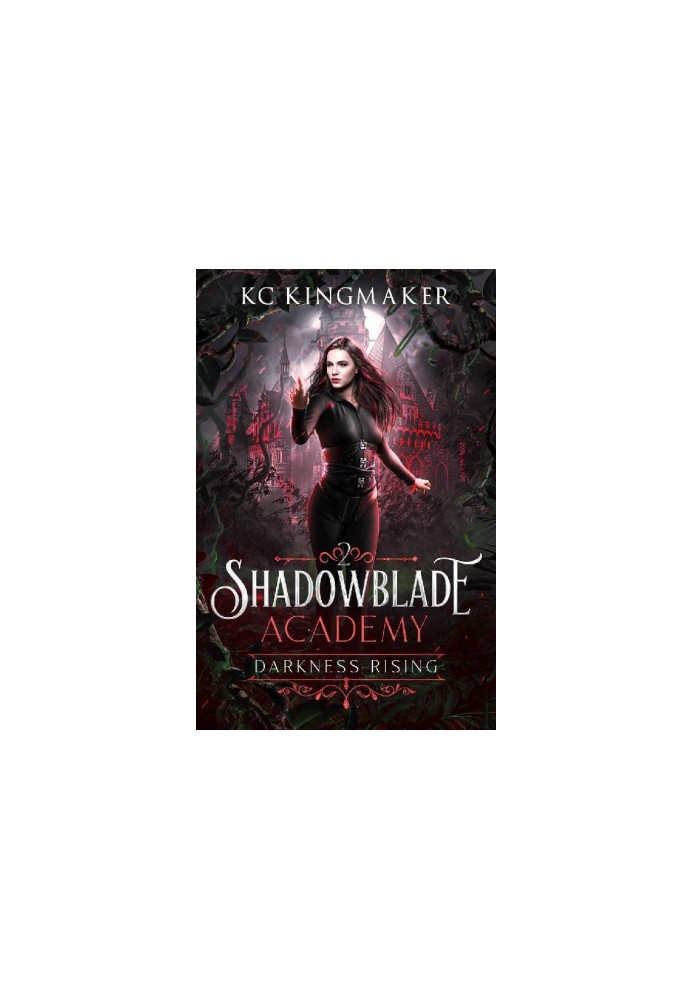 Shadowblade Academy 02: Darkness Rising