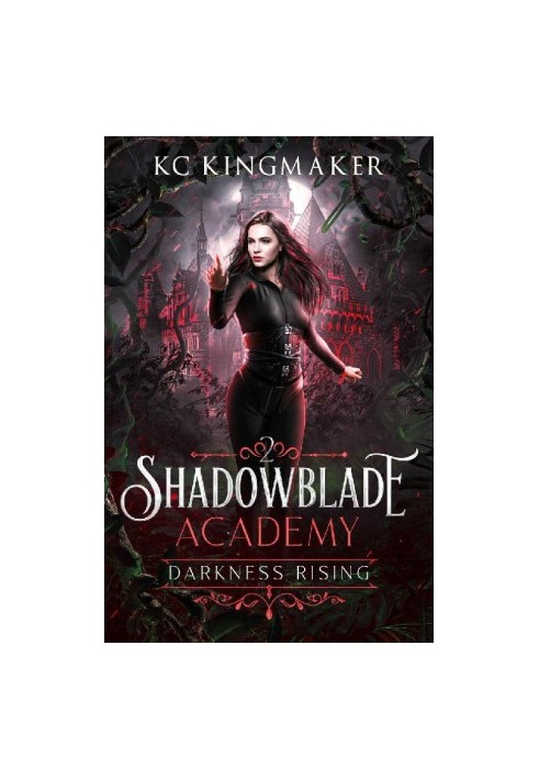 Shadowblade Academy 02: Darkness Rising