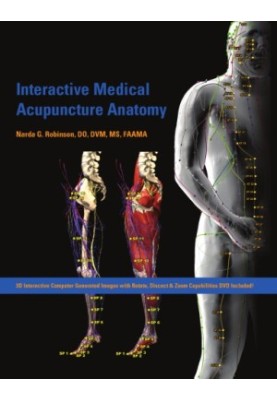 Interactive medical acupuncture anatomy