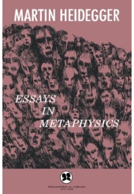 Essays in metaphysics : identity and difference