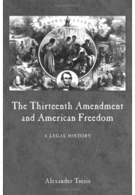 The Thirteenth Amendment and American Freedom: A Legal History (Constitutional Amendments)