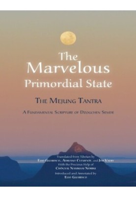 The Marvelous Primordial State The Mejung Tantra