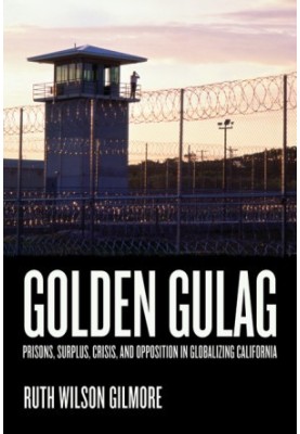 Golden Gulag: Prisons, Surplus, Crisis, and Opposition in Globalizing California (No Front Cover)