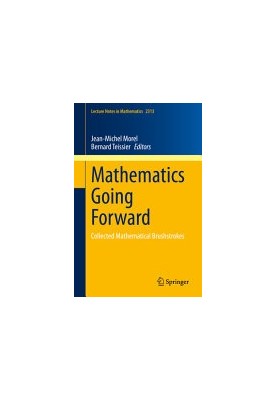 Mathematics Going Forward: Collected Mathematical Brushstrokes