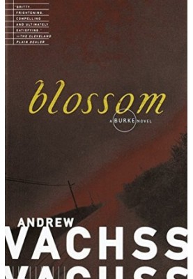 Blossom