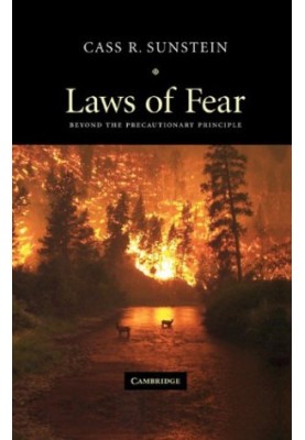 Laws of Fear: Beyond the Precautionary Principle