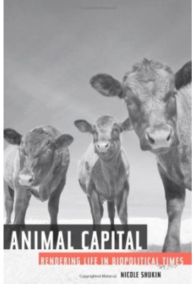 Animal capital : rendering life in biopolitical times