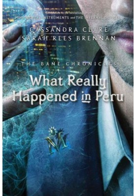What Really Happened in Peru