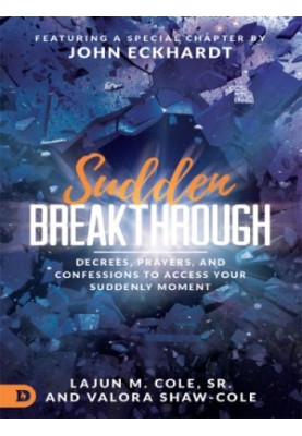SUDDEN BREAKTHROUGH: decrees, prayers, and confessions to access your suddenly moment