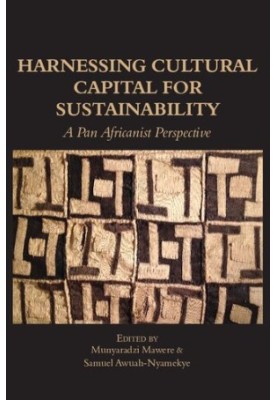 Harnessing Cultural Capital for Sustainability: A Pan Africanist Perspective