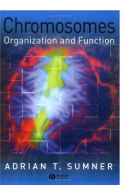 Chromosomes : organization and function