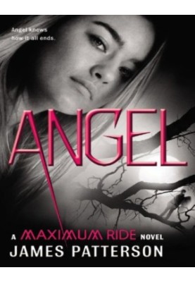 Maximum Ride 07 - Angel